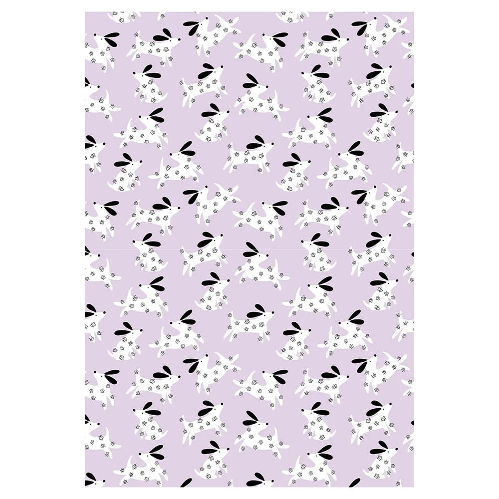 PET BLANKET
