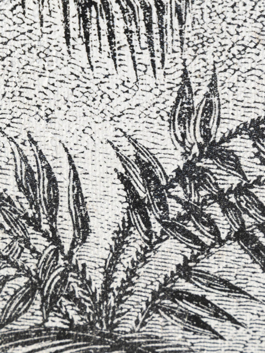 Madagascar Wall Art Set of 4 in Greyscale