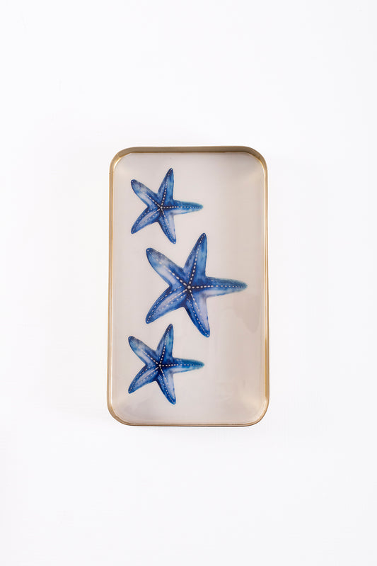 Tray Rock-Star – view 2