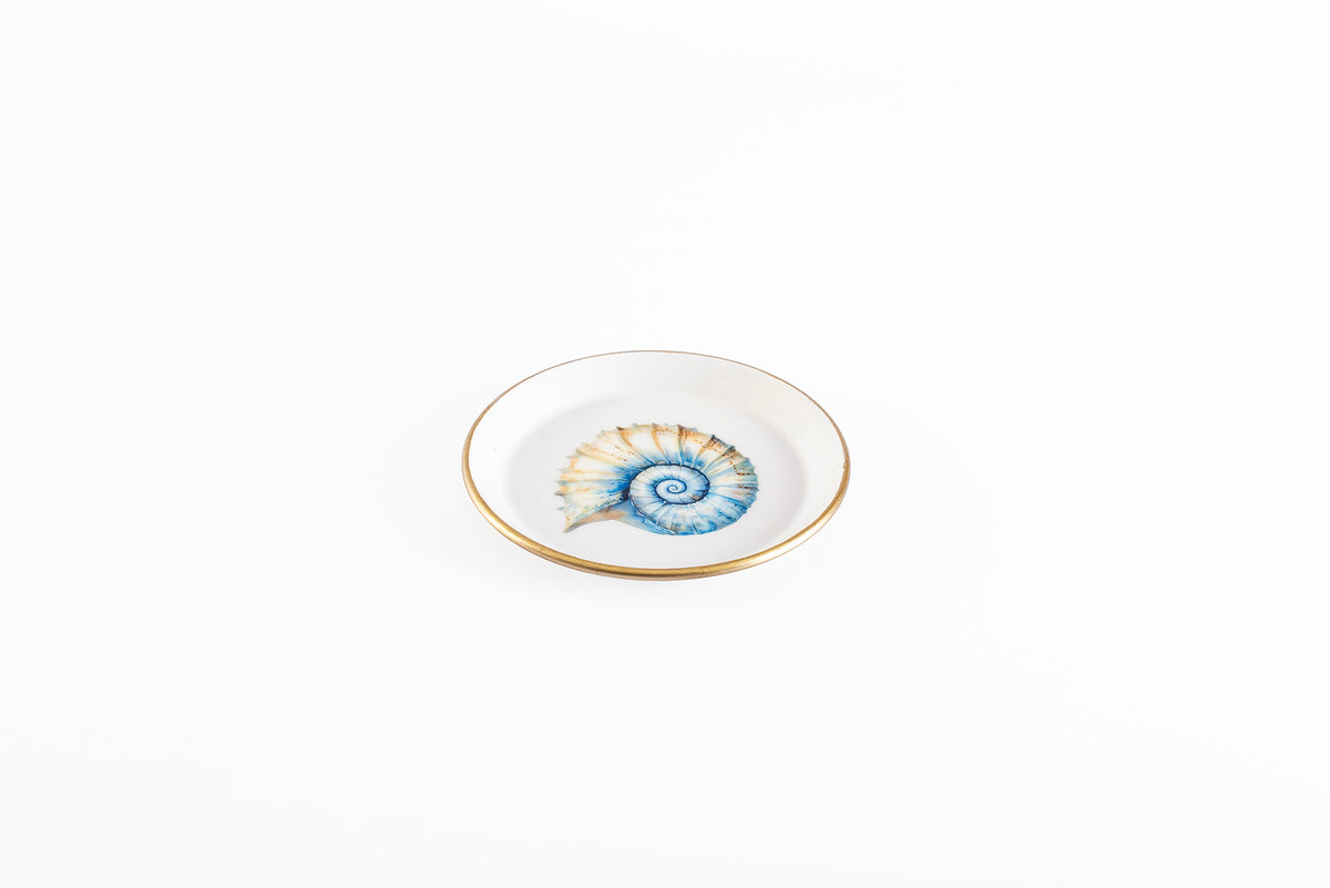 Coaster Blue Shell Sand – view 2