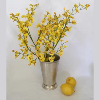 Vases & Botanicals