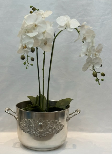 BOWL VICTORIAN XL (7118Z)