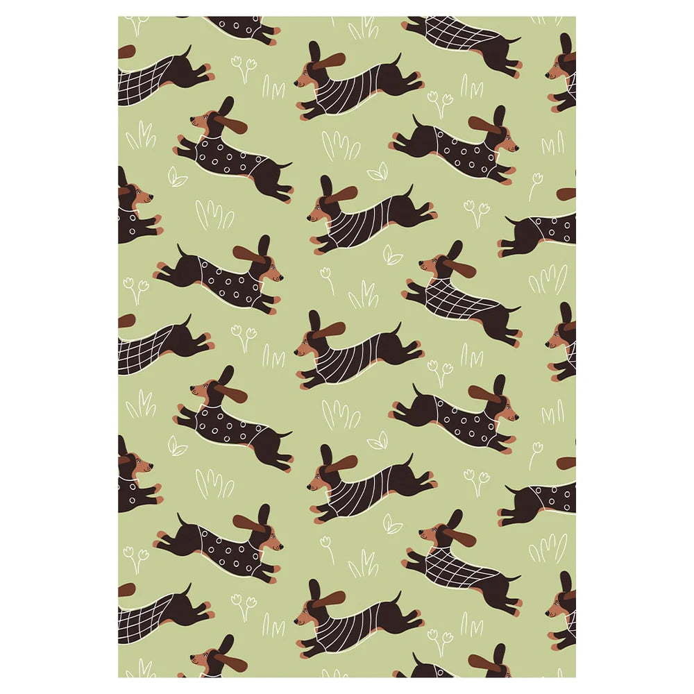 PET BLANKET