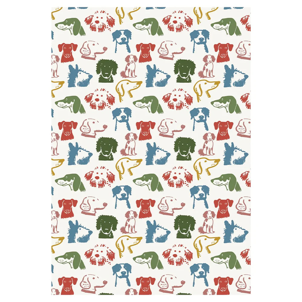 PET BLANKET
