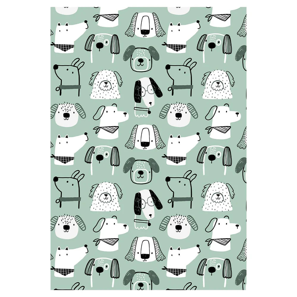 PET BLANKET
