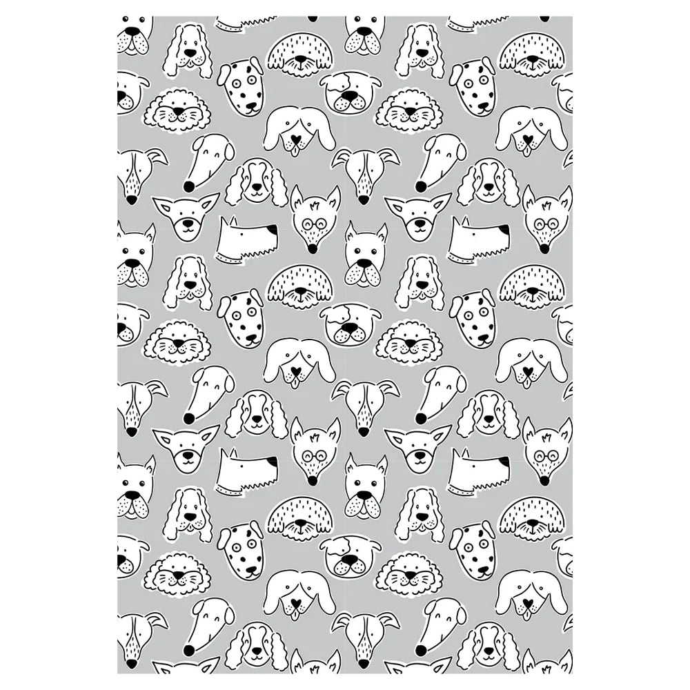 PET BLANKET