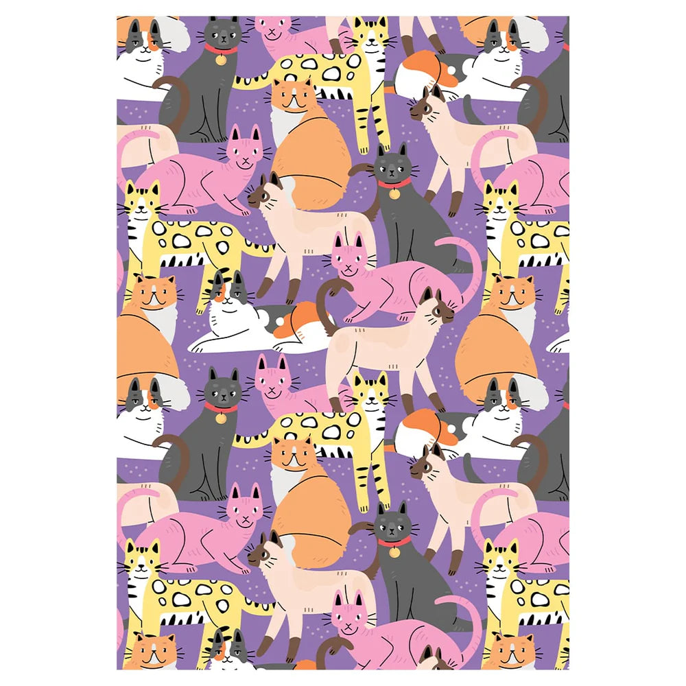 PET BLANKET