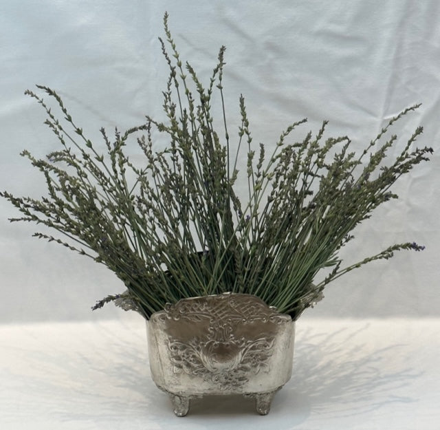 BOWL PROVENCE ON FEET (N203)