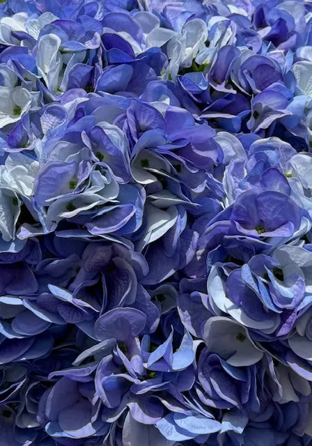 REAL TOUCH HYDRANGEA BLUE