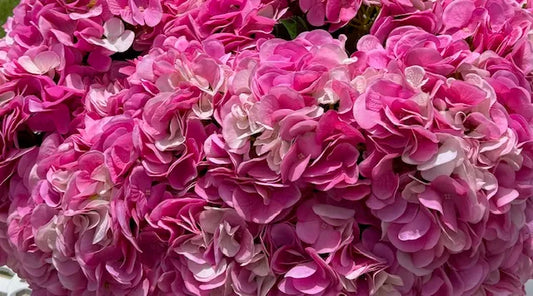 REAL TOUCH HYDRANGEA PINK (PA0016-PINK)