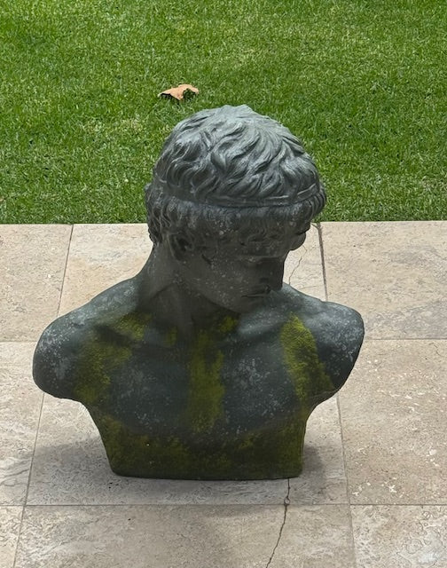NARCISSUS – BUST (HP75768)