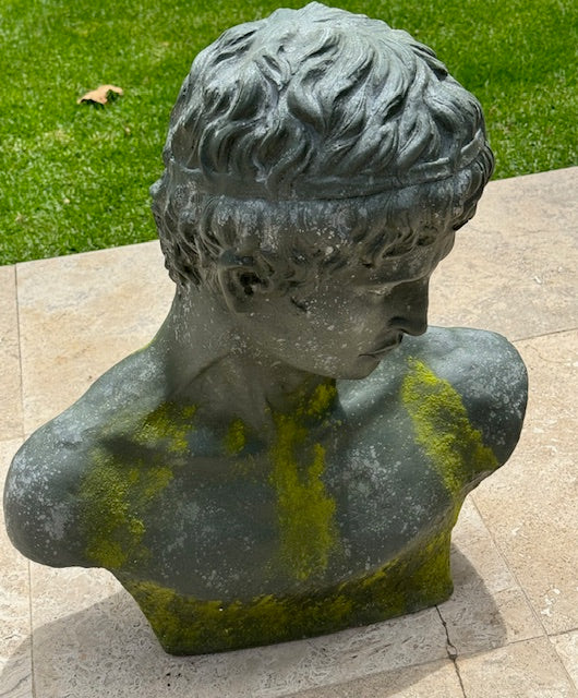 NARCISSUS – BUST (HP75768)