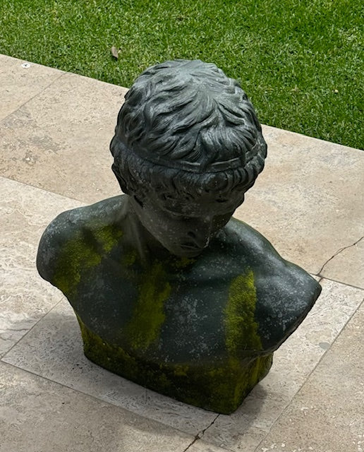 NARCISSUS – BUST (HP75768)