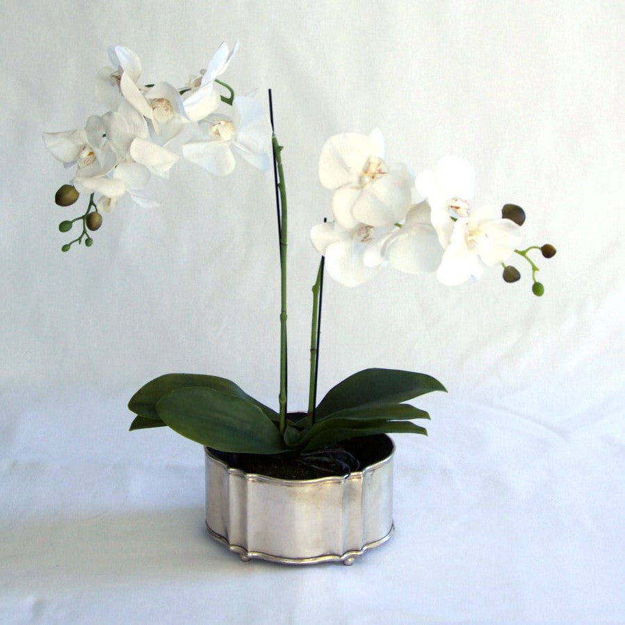 PLANTER FRENCH XL (950160)