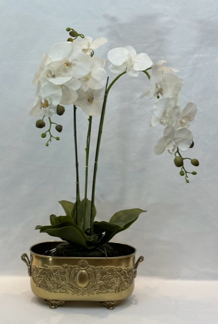 PLANTER VICTORIAN ANTIQUE BRASS (AB7579D)