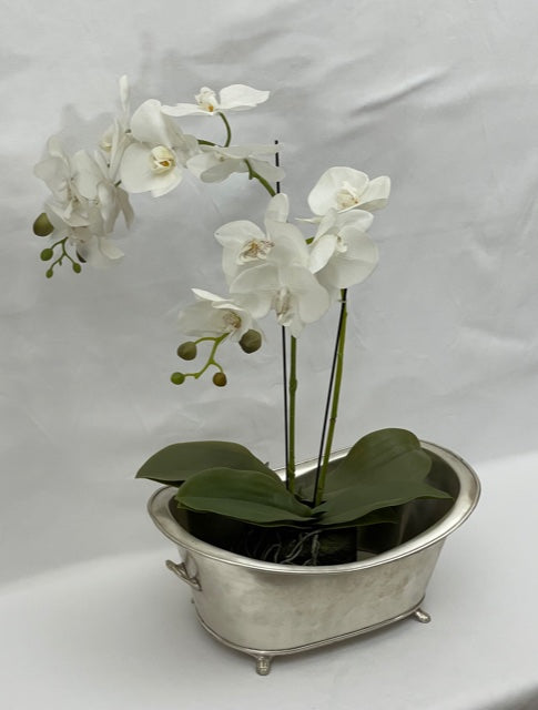 PLANTER CLASSIC XL (7342I)