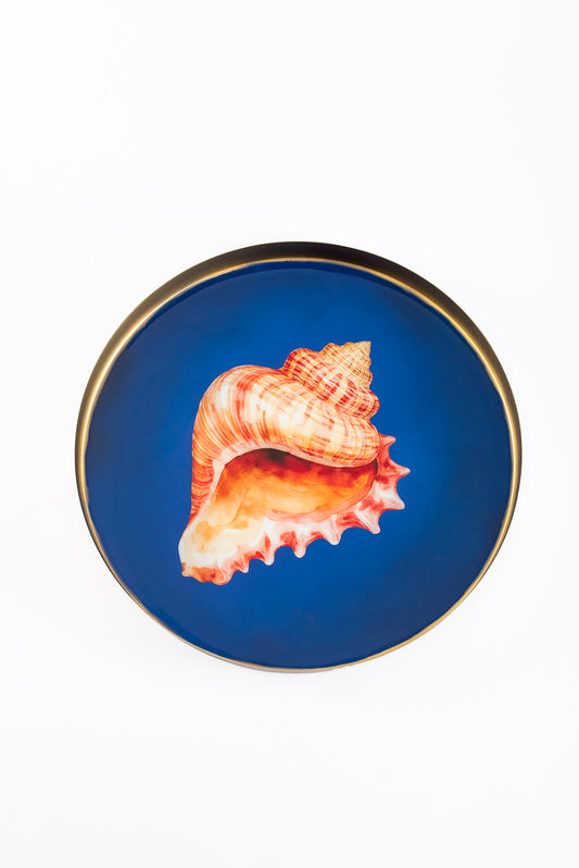 Tray Indigo Shell – view 2