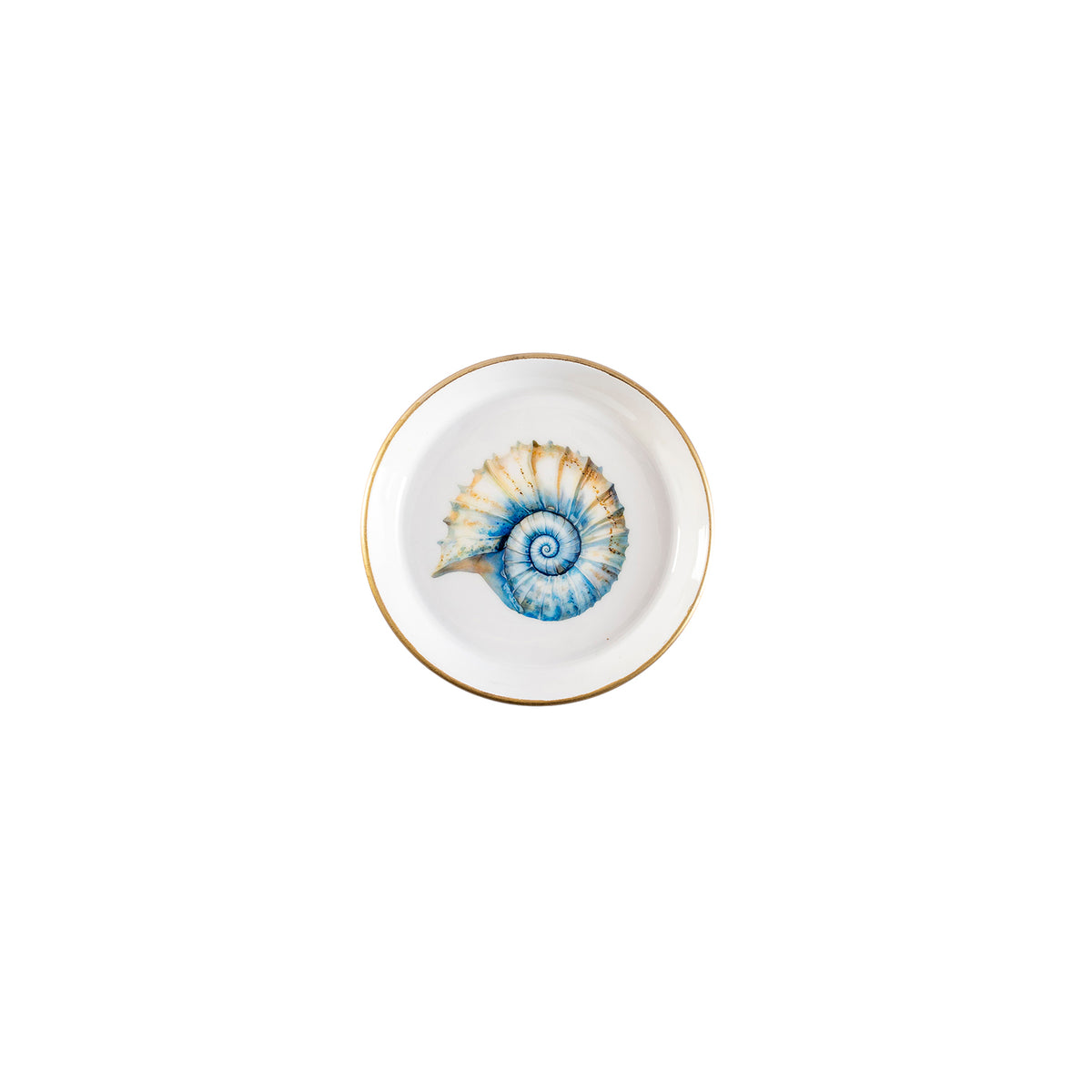 Coaster Blue Shell Sand