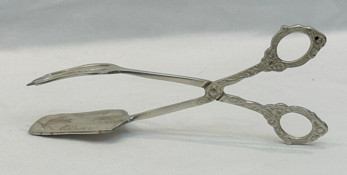 TONGS FERN (SR129)