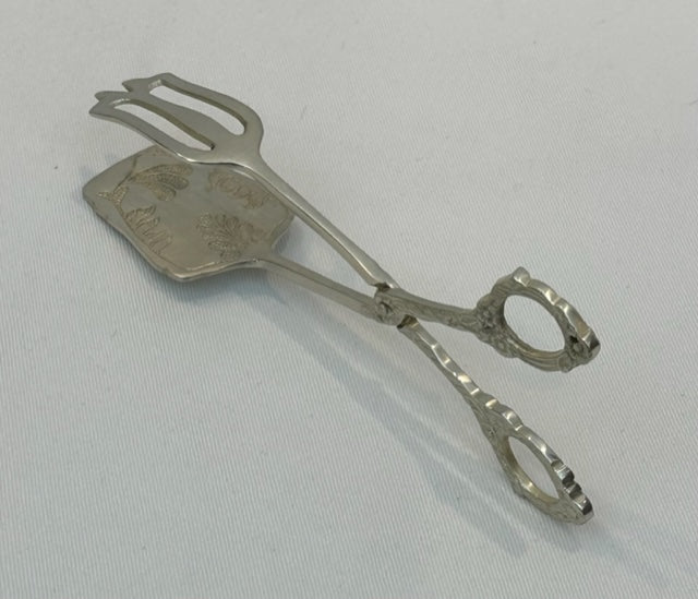 TONGS FERN (SR129)