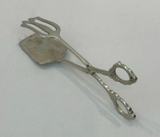 TONGS FERN (SR129)