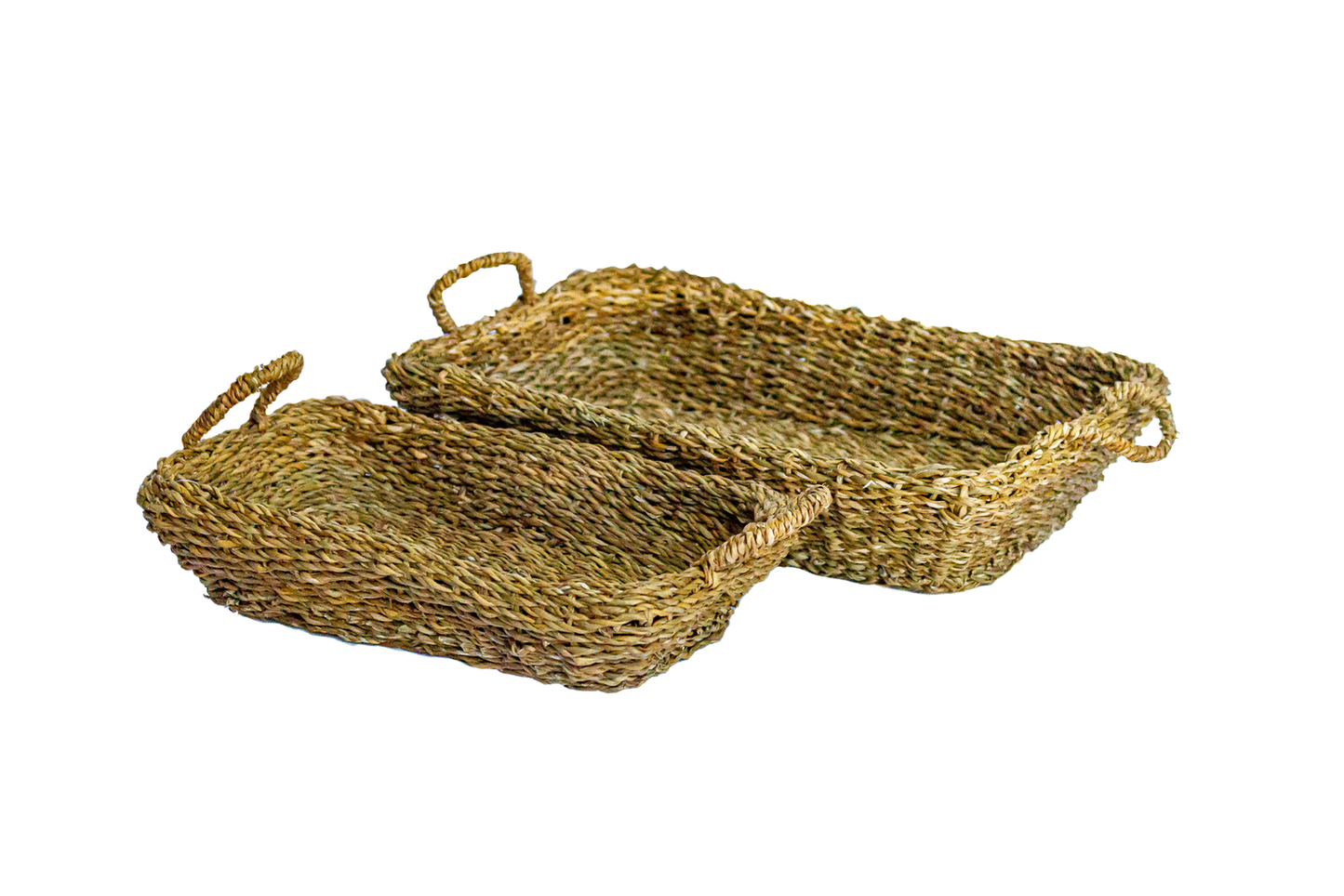 Small Seagrass Rectangle Tray with Iron Frame