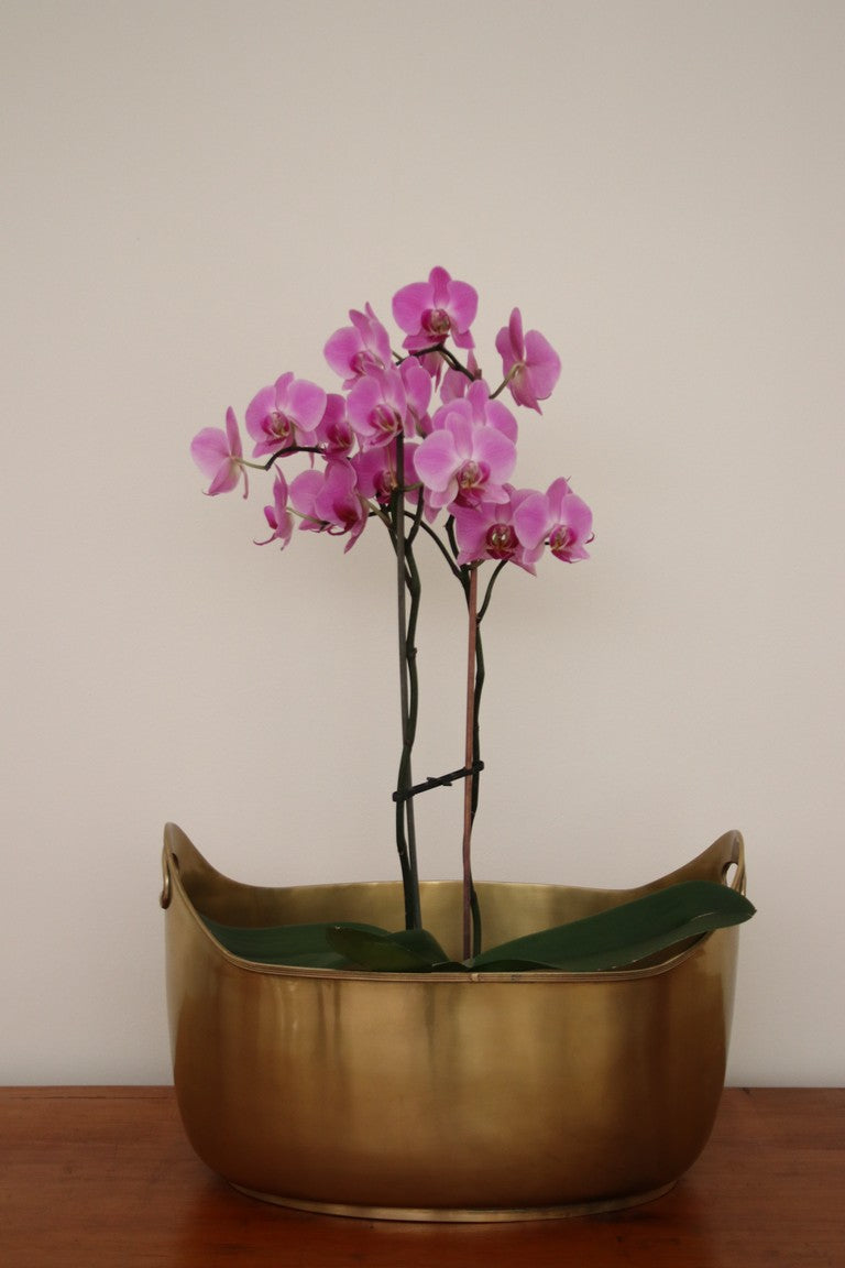 WINE COOLER TUB BRASS (AB8016)
