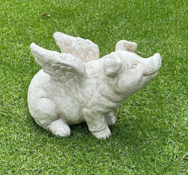 FLYING PIG – BUST (75608)