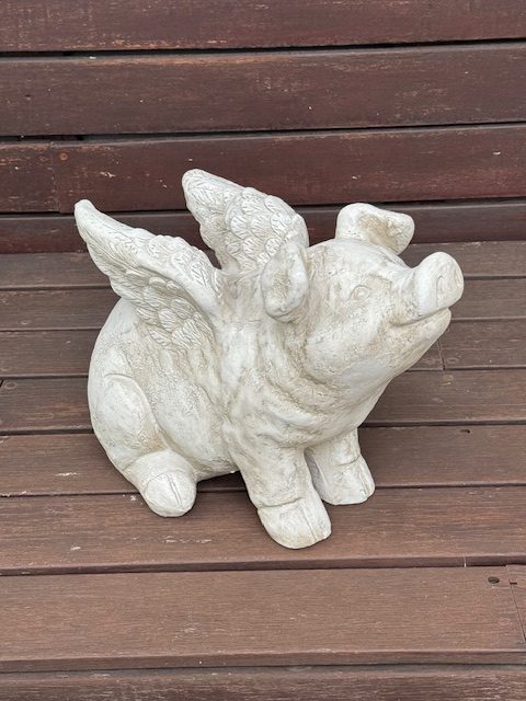 FLYING PIG – BUST (75608)
