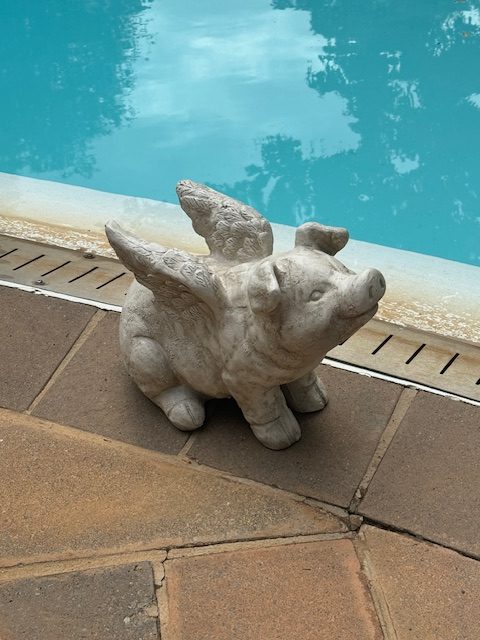 FLYING PIG – BUST (75608)