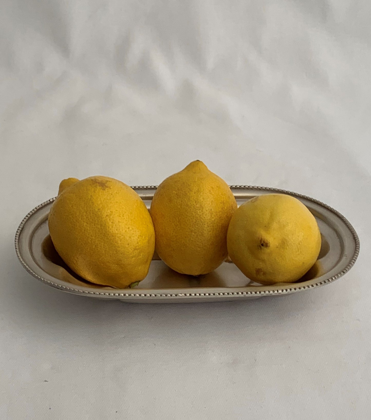 SNACK DISH FRENCH (7145W)
