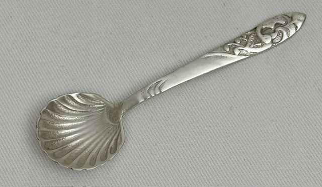 SUGAR SPOON SHELL (SR4019)