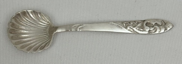 SUGAR SPOON SHELL (SR4019)