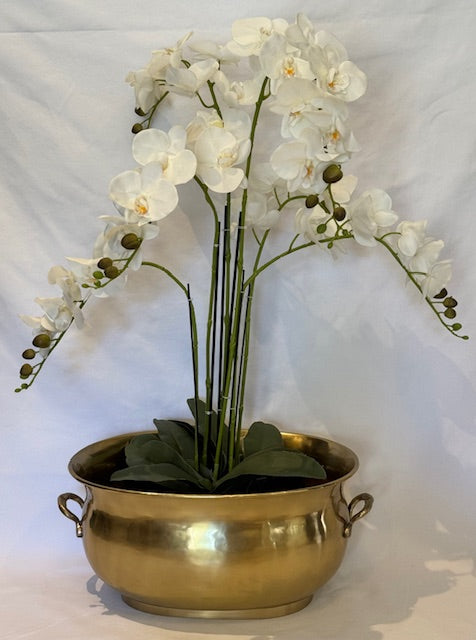 TUB OVAL XL ANTIQUE BRASS (AB1057M)